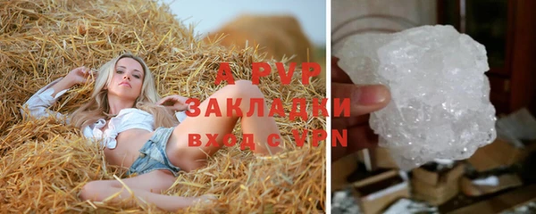 PSILOCYBIN Беломорск