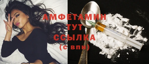 молекула духа Белокуриха
