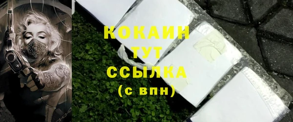 молекула духа Белокуриха