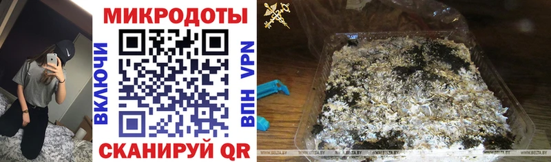 продажа наркотиков  Новотитаровская  Псилоцибиновые грибы MAGIC MUSHROOMS 